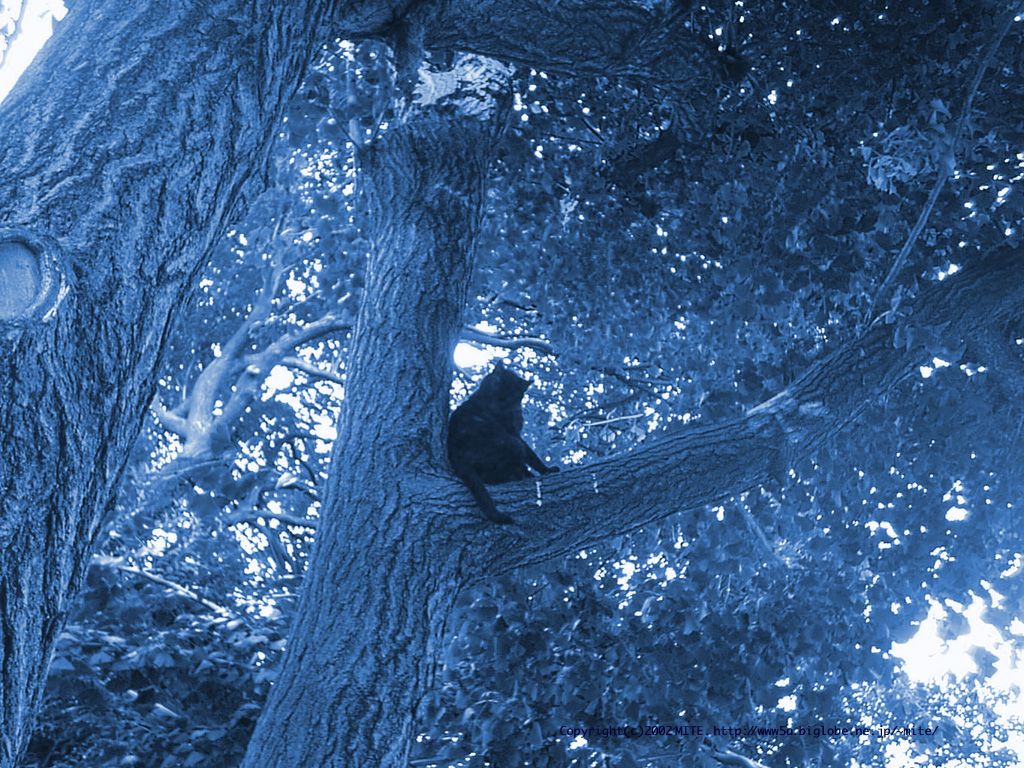 01_1024
