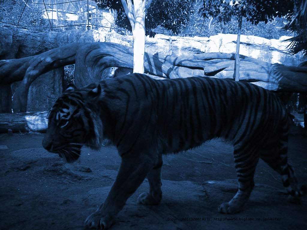 05_1024