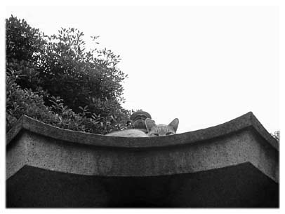 200106
