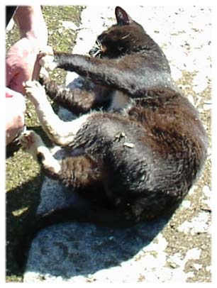 200110