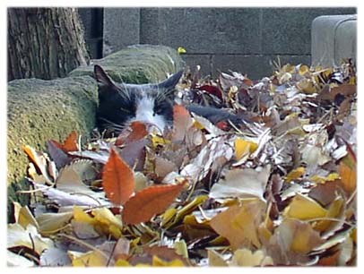 200112