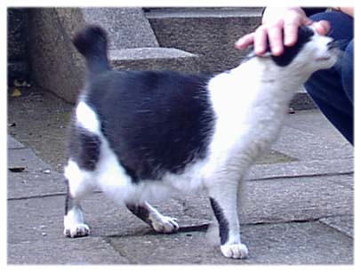 200210