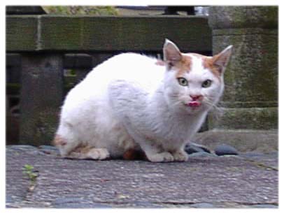 200311