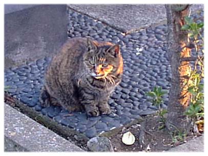 200312