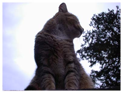 200302