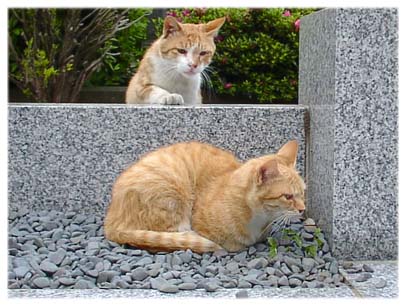 200305