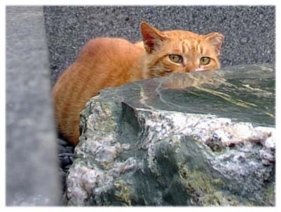 200307