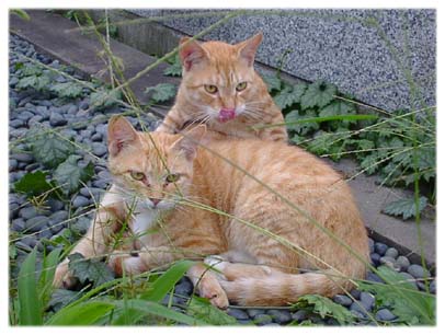 200307