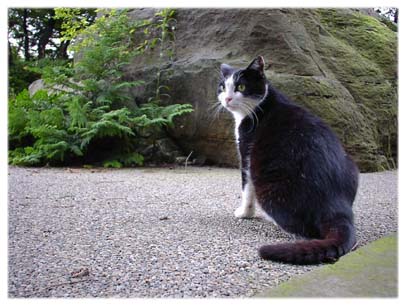 200308