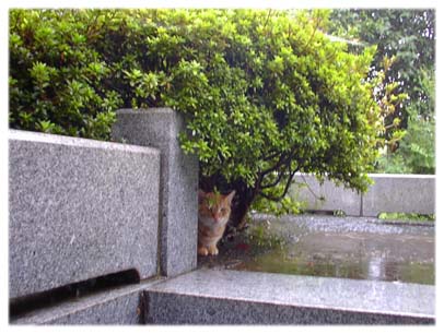 200309