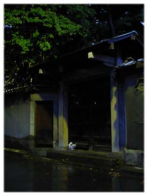 200309