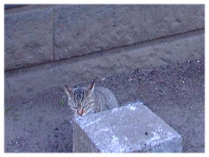 200401