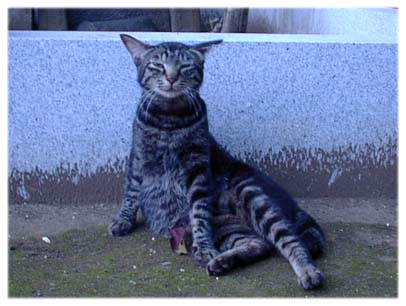 200406