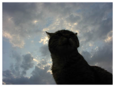 200407