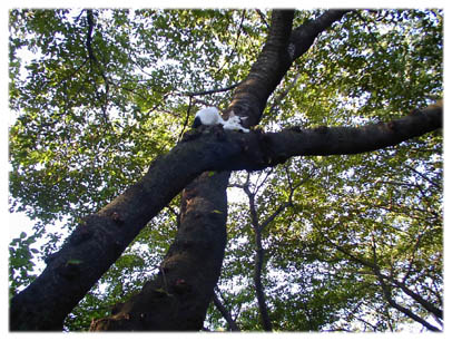 200408