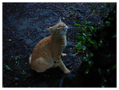 200408