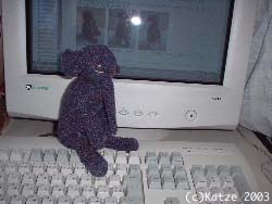 1193